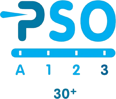 PSO 30+ logo